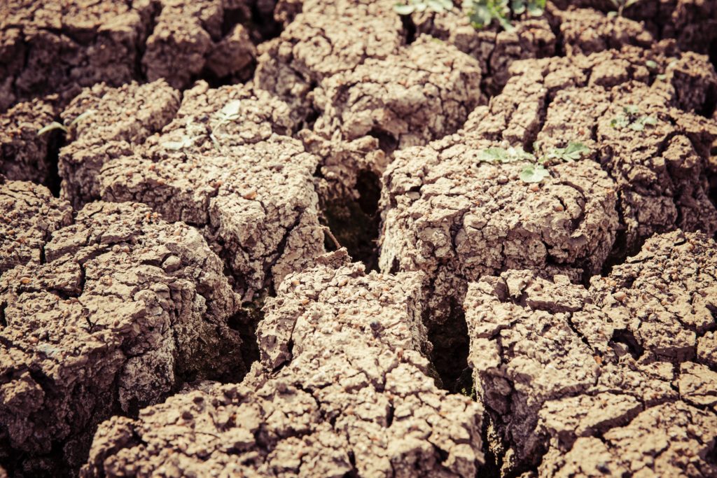 cracked brown soil - dryness us often a symptom of yin deficiency