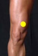 Spleen 10 location