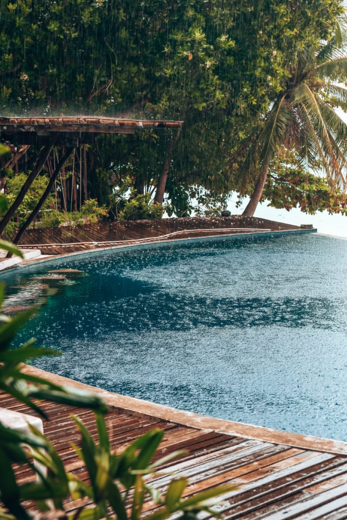 Humidity can cause damp: coconut tree near body of water