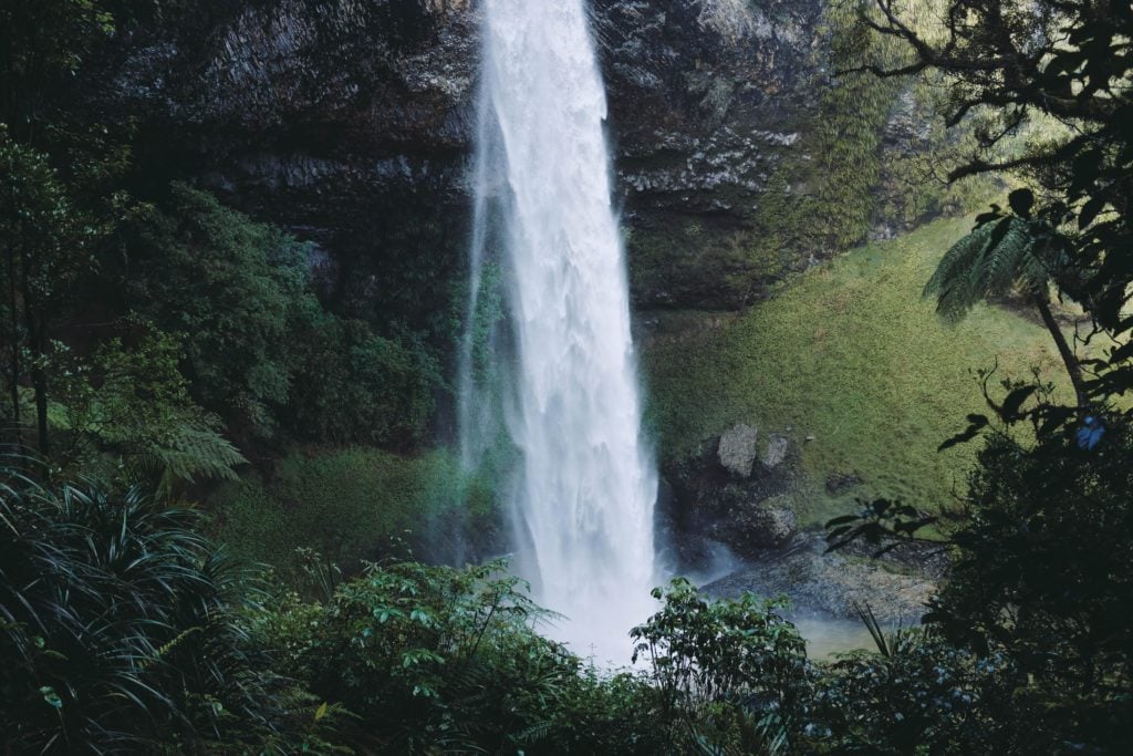 free waterfalls surrounded of trees
