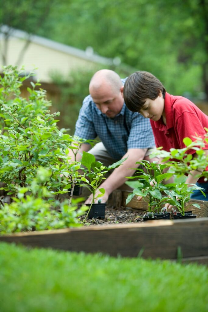 gardening, an Earth element process