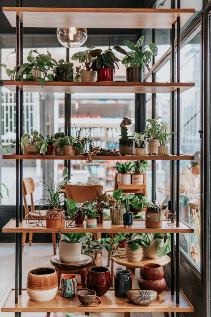 green potted plants on brown wooden table, may help dry skin