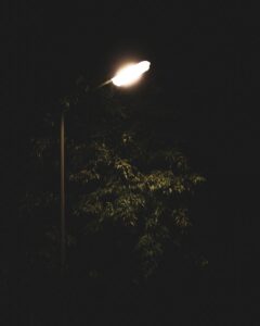 turned-on post lamp beside tree