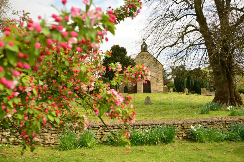 Red flowers supporting Earth in a graveyard