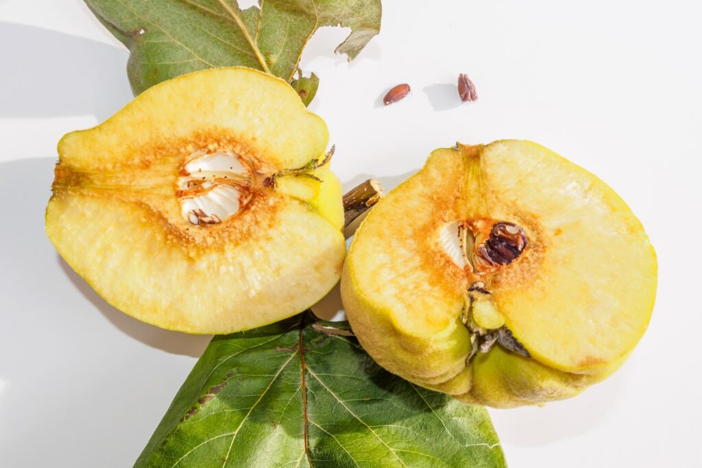 quince - a fruit with the sour taste