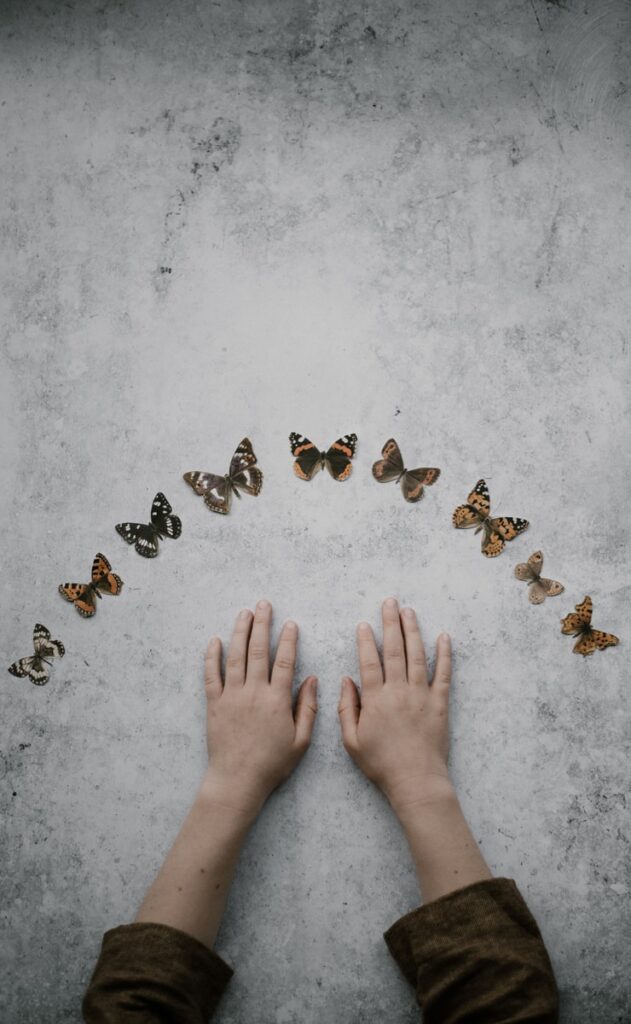 butterflies collection: first catch your patient!