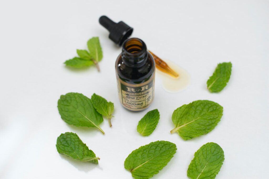 Mint - a herb for Wind-HEat conditions